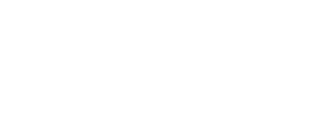 לוגו ליאת לבן רקע שקוף