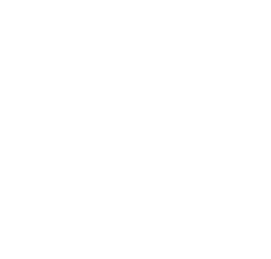 לוגו עכו ועד עובדי ערייה לבן 01